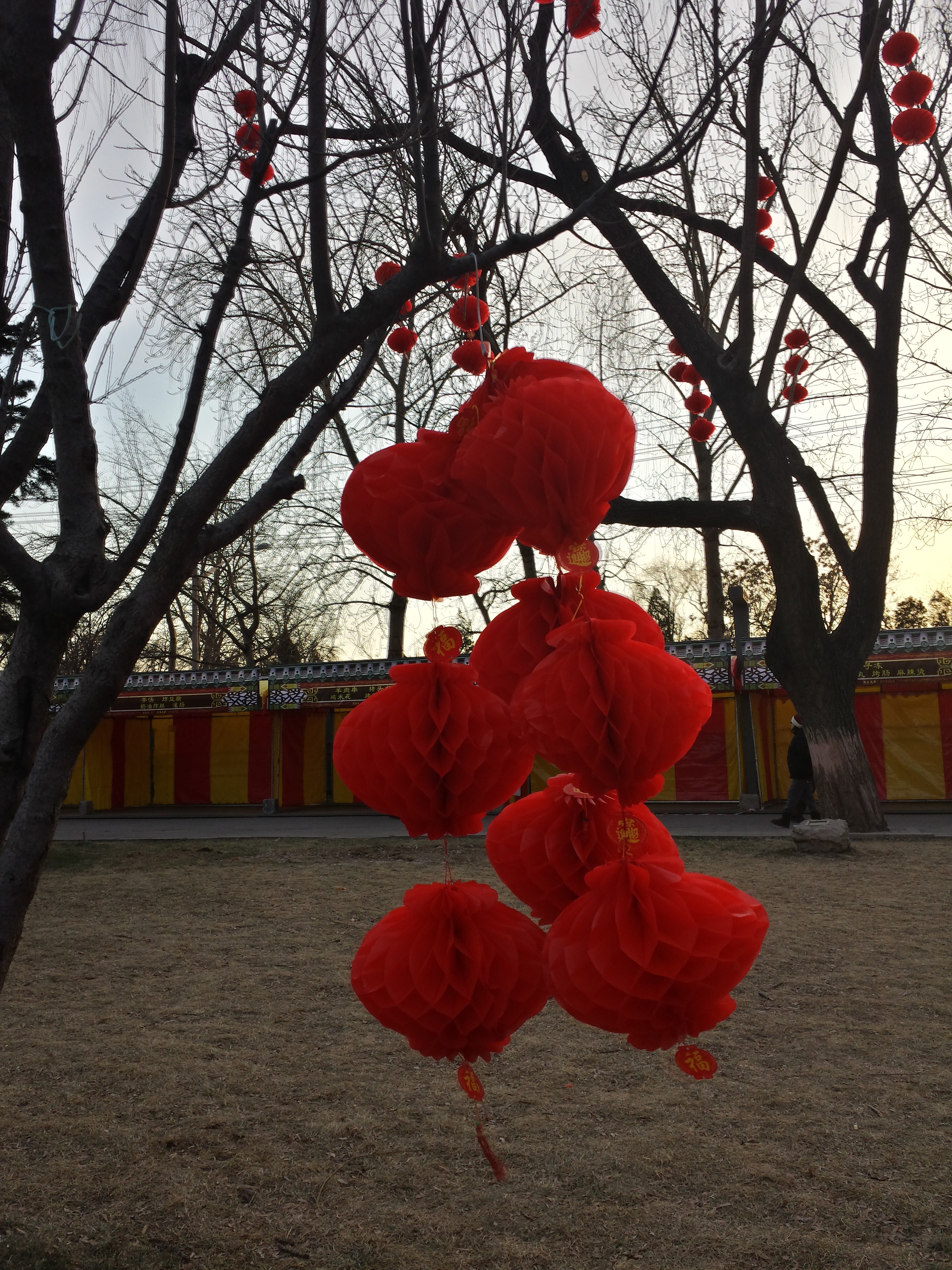 Beijing Lanterns