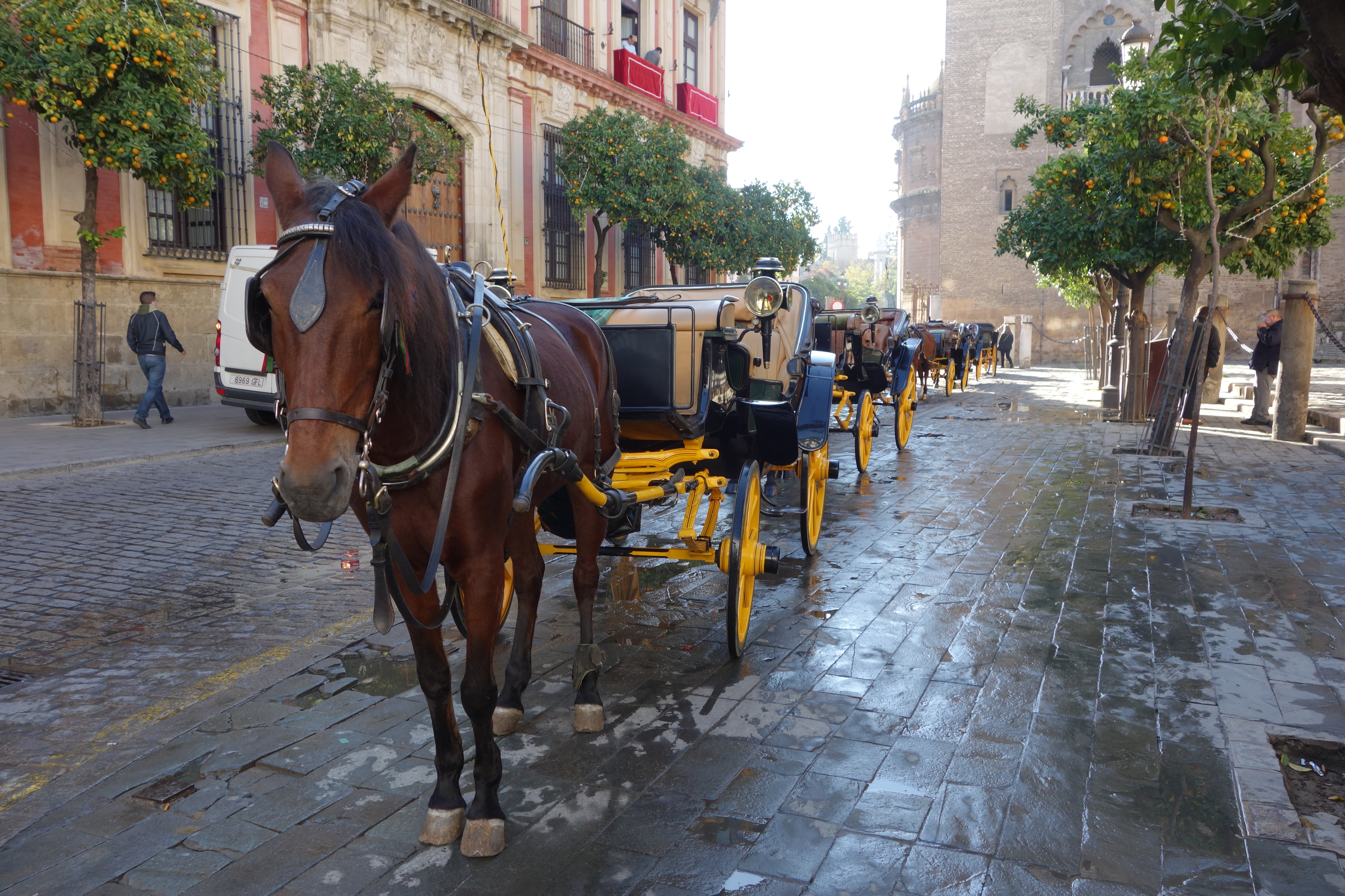 Seville