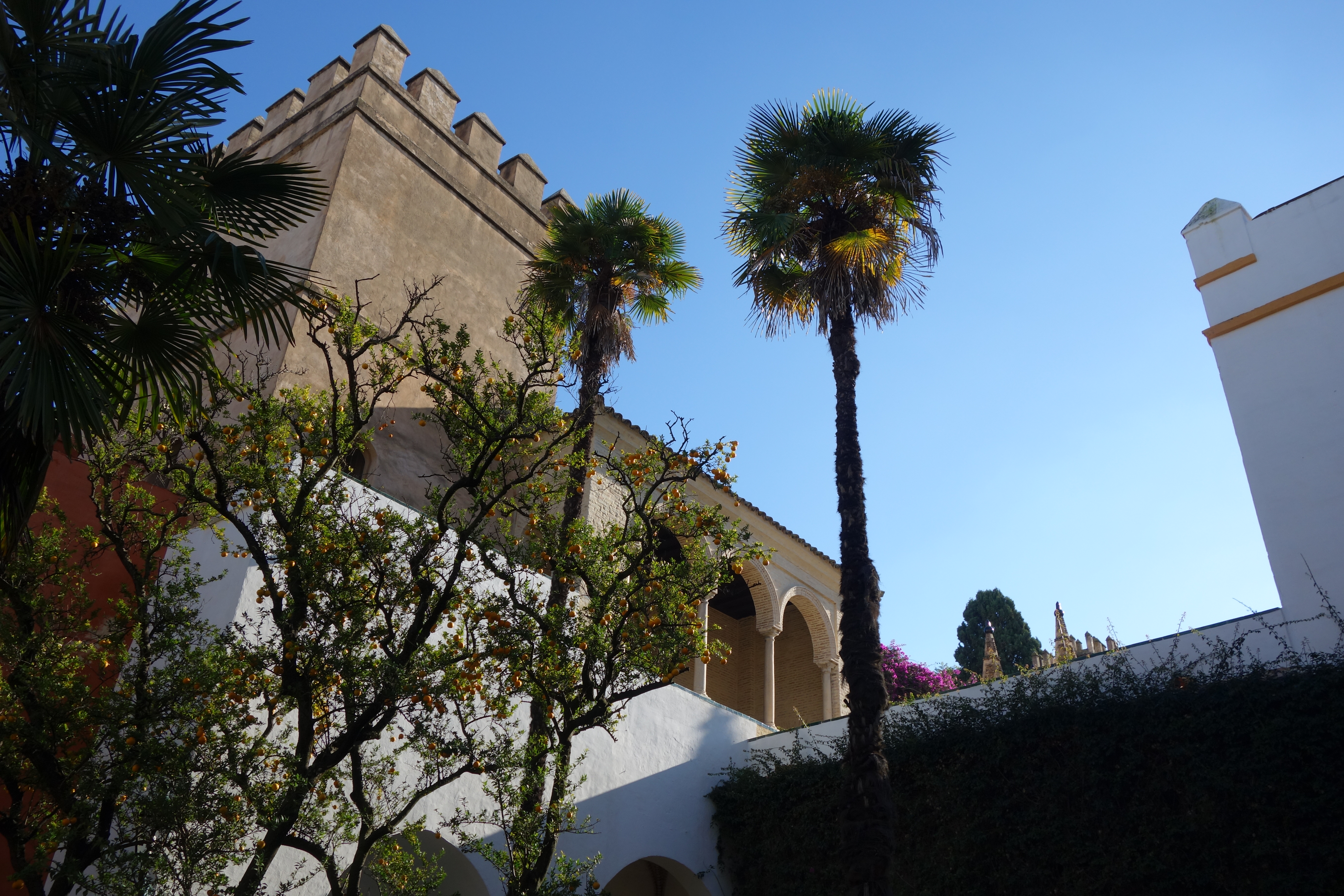 Bobbieness at Alcazar Seville