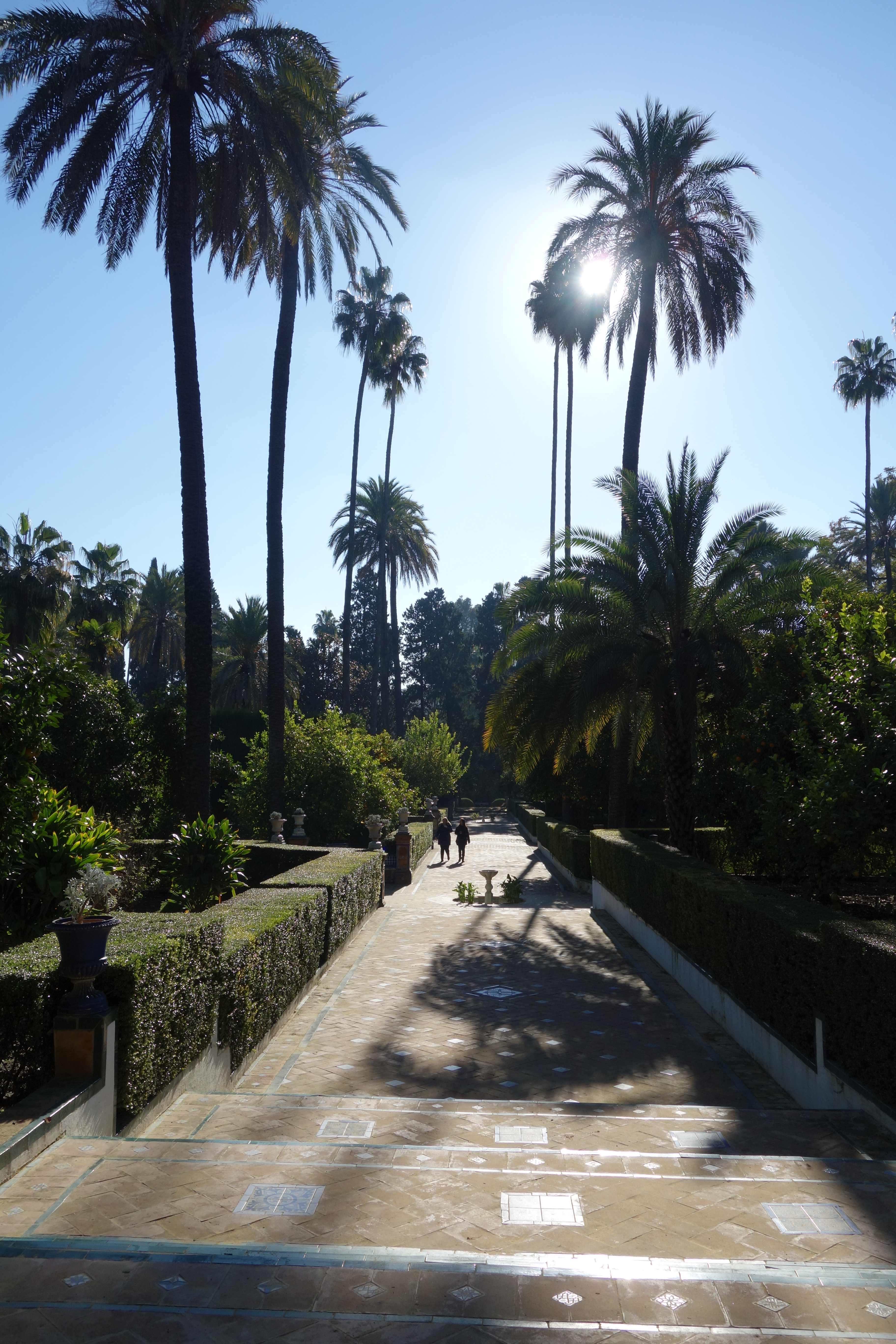 Bobbieness at Alcazar Seville