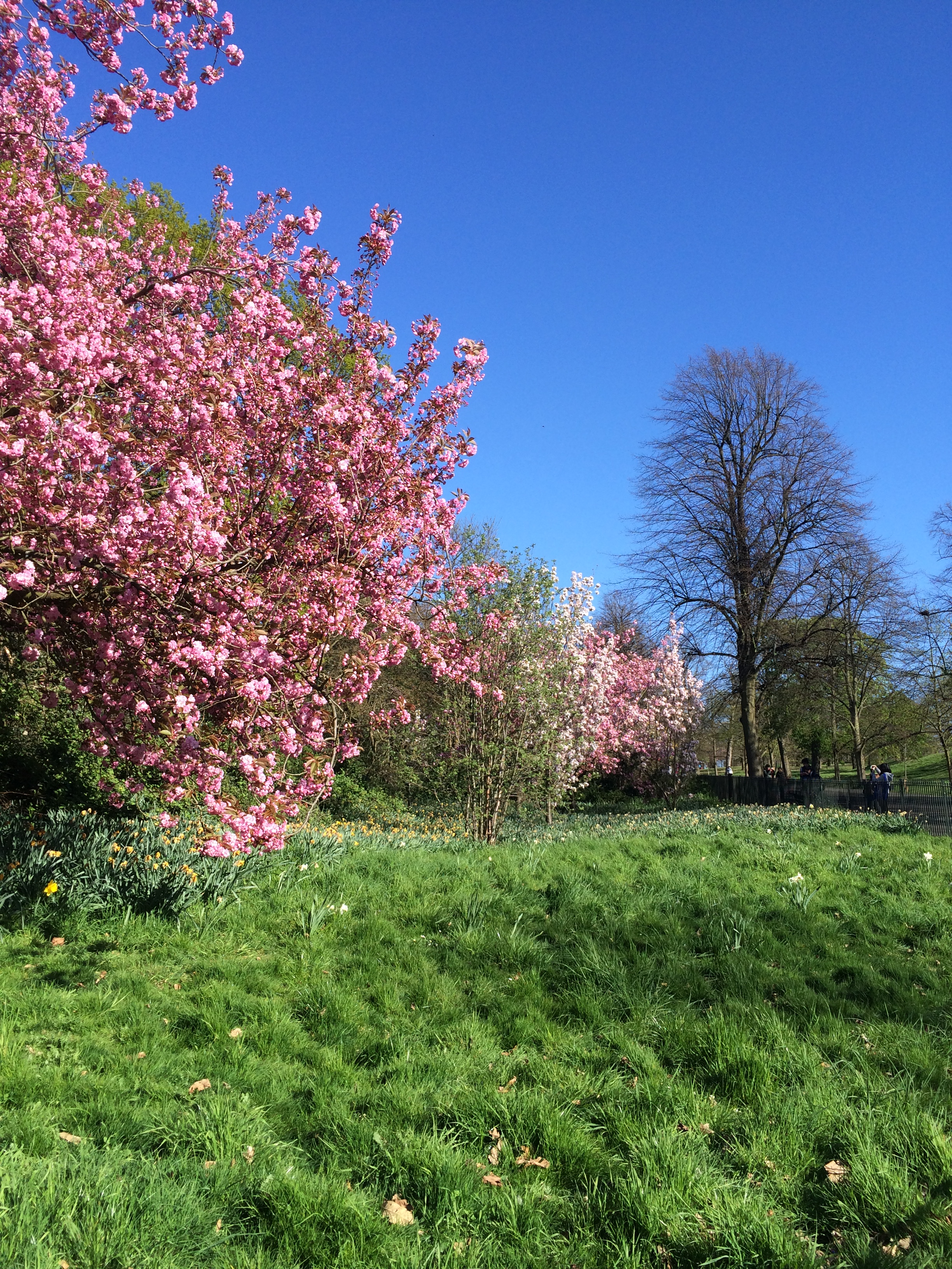 Greenwich Park