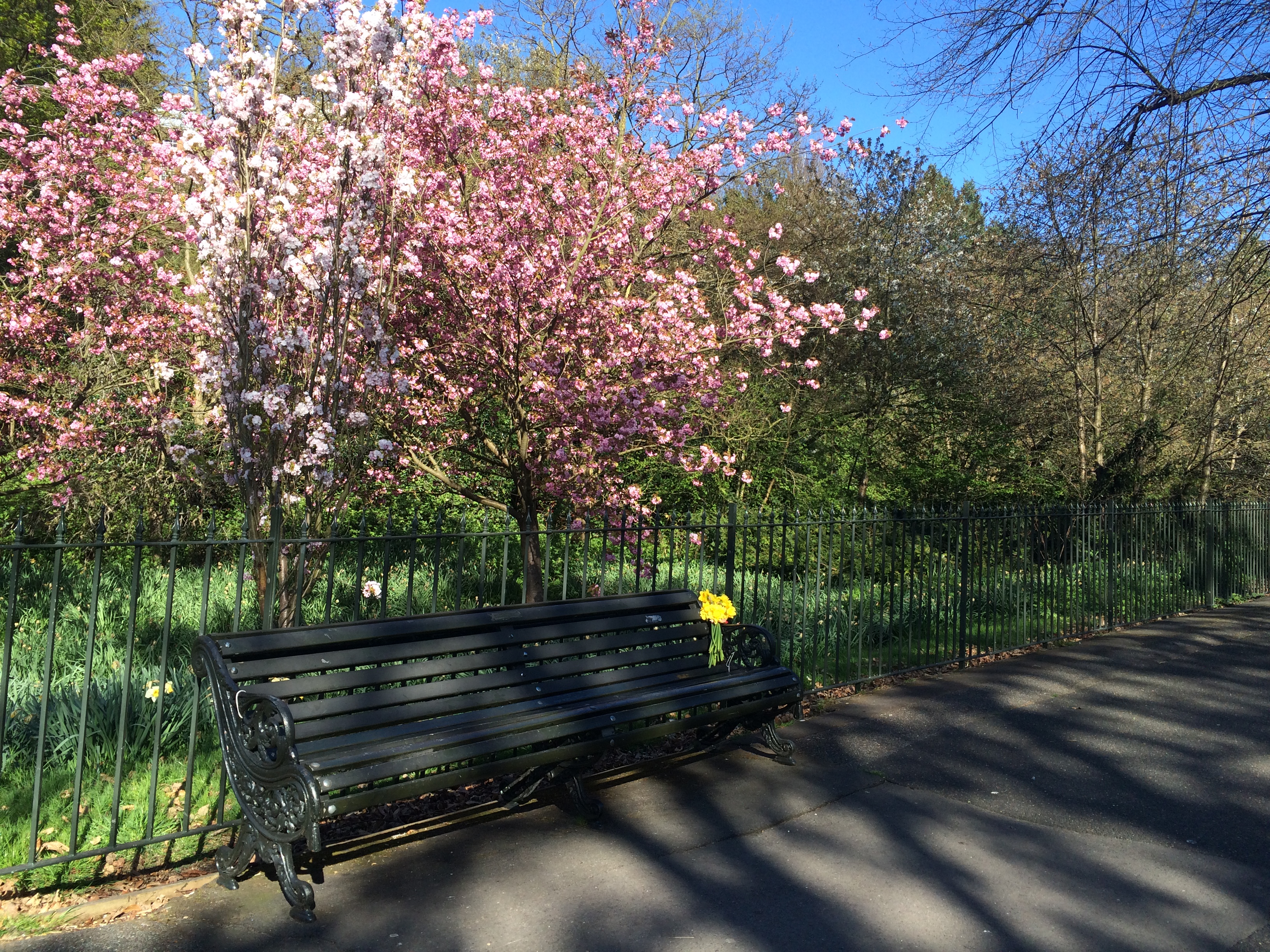 Greenwich Park