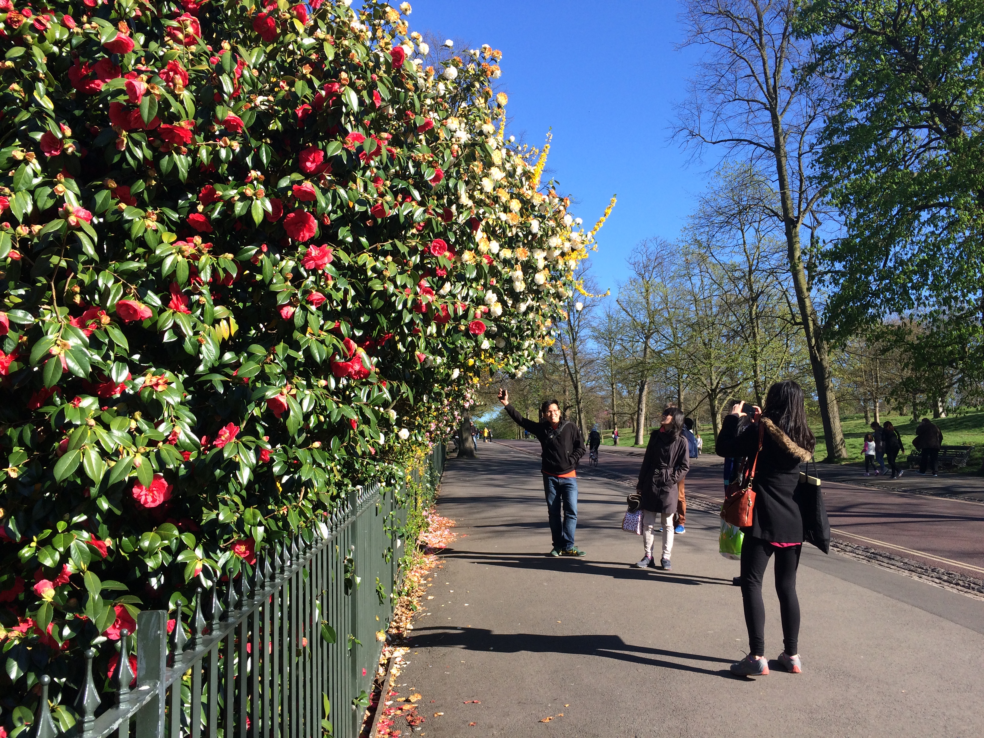 Greenwich Park